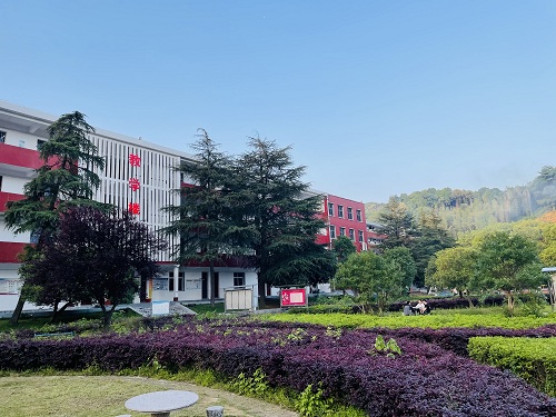 学习环境